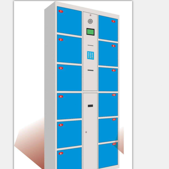 ZX-C208條碼型12門(mén)存包柜